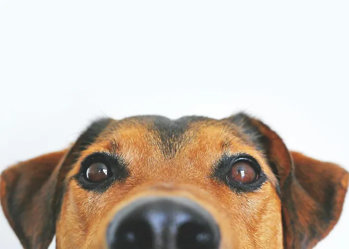 Otel Garner - Engelbertz By Ihg Köln